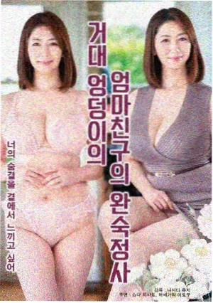 机动战士高达闪光的哈萨维 科幻机甲动漫 封面